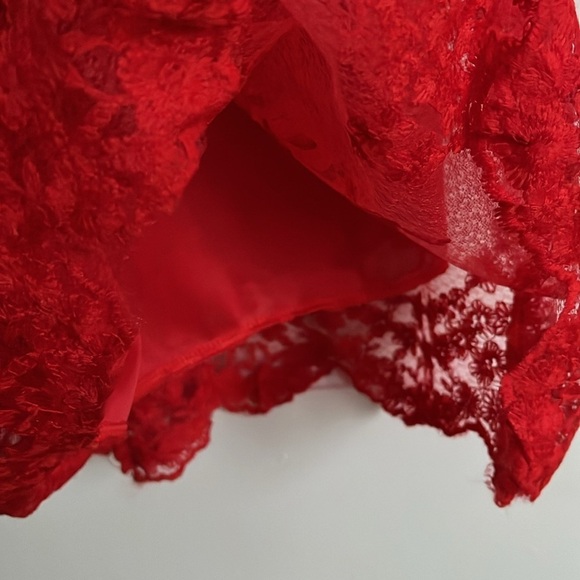 Red Boudoir Chic long lace dress. Low back maxi or lingerie. Small. Prom dress - Picture 11 of 13